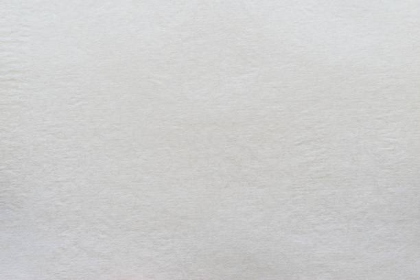 istock texture old paper of pale color 487076594