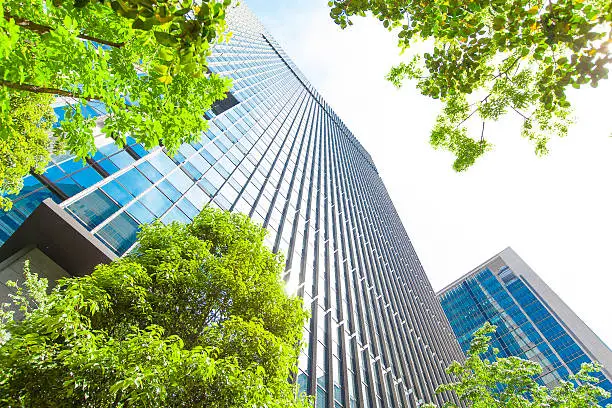 Business towers and Green leaves in Tokyo, Japan.