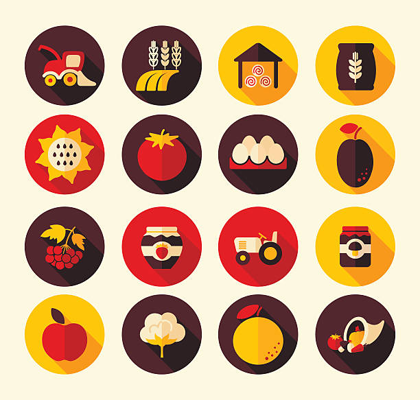 illustrazioni stock, clip art, cartoni animati e icone di tendenza di vendemmia autunnale del ringraziamento icona piatto - thanksgiving plum autumn apple
