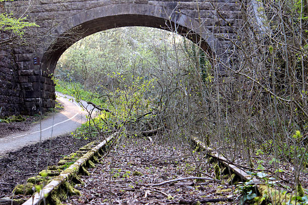 istock Bridge over disused railway line overgrown with weeds 487078039