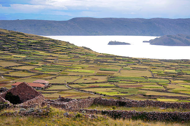 lago titicaca - bolivia copacabana bolivian ethnicity lake titicaca fotografías e imágenes de stock