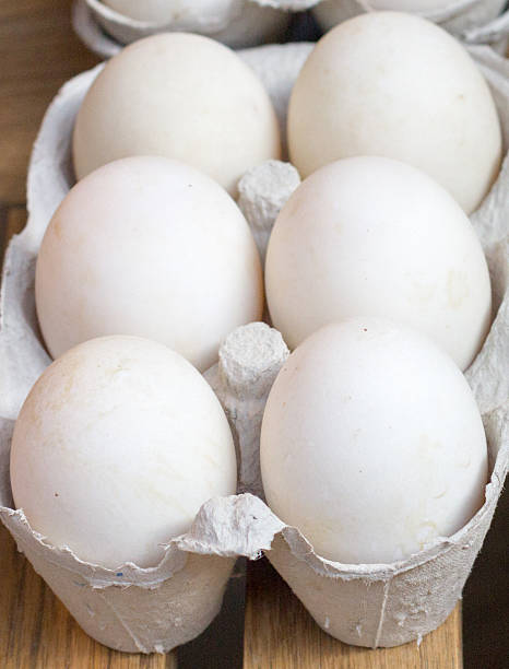 istock Duck Eggs in Borough Market, London 487080095