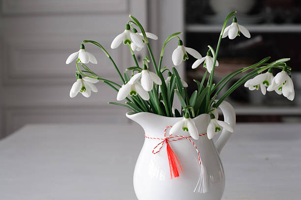 snowdrops close-up und rote und weiße symbol frühling - flower snow winter close up stock-fotos und bilder