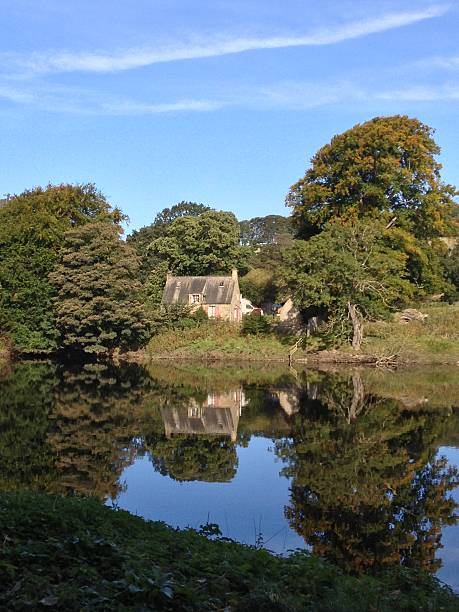 istock Cottage in a wood next to a still river 487080991