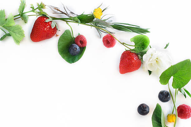 istock Spring Fruits and Flowers Garland 487081224