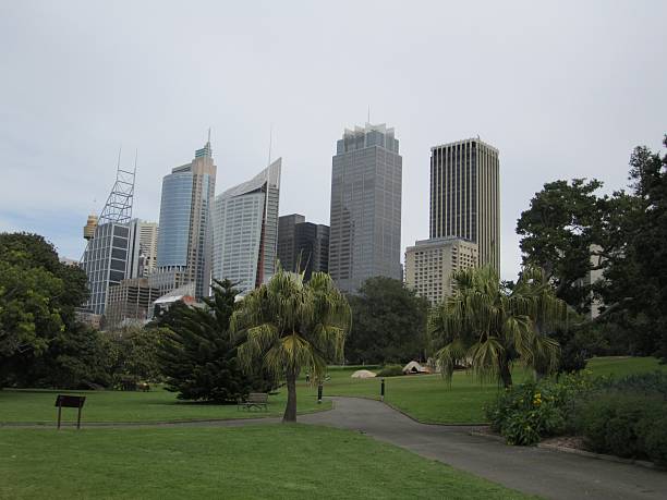istock Sydney Skyline Seen From the Botanical Gardens 487081414
