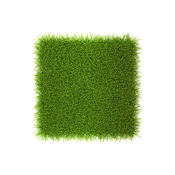 Grass style Symbol - Sign Isolated on white background