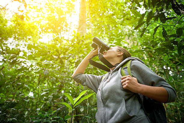 Tourist looking through binoculars considers wild birds in the j Tourist looking through binoculars considers wild birds in the jungle. Bird watching tours bird human stock pictures, royalty-free photos & images