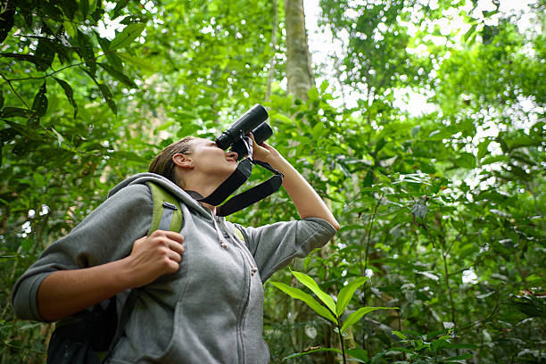 istock Tourist looking through binoculars considers wild birds in the j 487085022