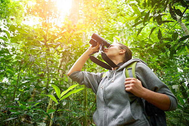 istock Young female hiker watching through binoculars wild birds in the 487085040
