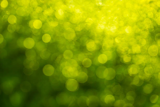 istock abstract green bokeh for Natural  blurred background 487086756