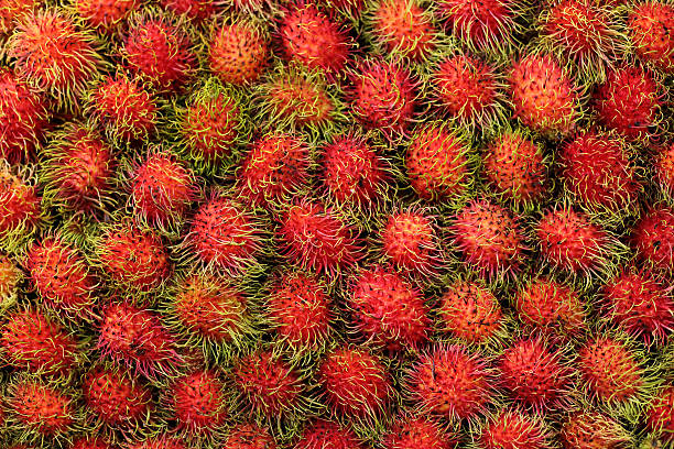 istock Close up for Tropical Fruits Rambutan, selective focus. 487088352