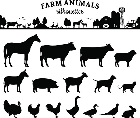 Vector farm animals silhouettes isolated on white. Livestock and  poultry icons. Rural landscape with trees, plants, farm animals and  farm