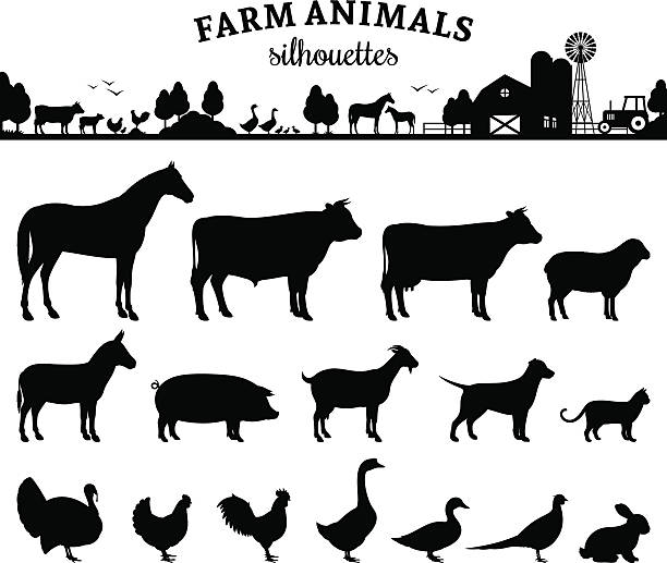 Vector Farm Animals Silhouettes Isolated on White Vector farm animals silhouettes isolated on white. Livestock and  poultry icons. Rural landscape with trees, plants, farm animals and  farm farm silhouettes stock illustrations