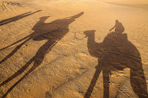 camelo - journey camel travel desert imagens e fotografias de stock