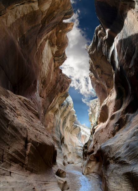 Willis Creek Narrows A slot canyon in Utah grand staircase escalante national monument stock pictures, royalty-free photos & images