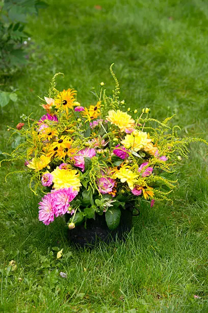garden bouquet annuals, The Netherlands