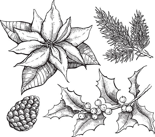 벡터 빈티지 세트마다 수작업, 트래디션 크리스마스 데커레이션 - pine branch pine tree pine cone stock illustrations