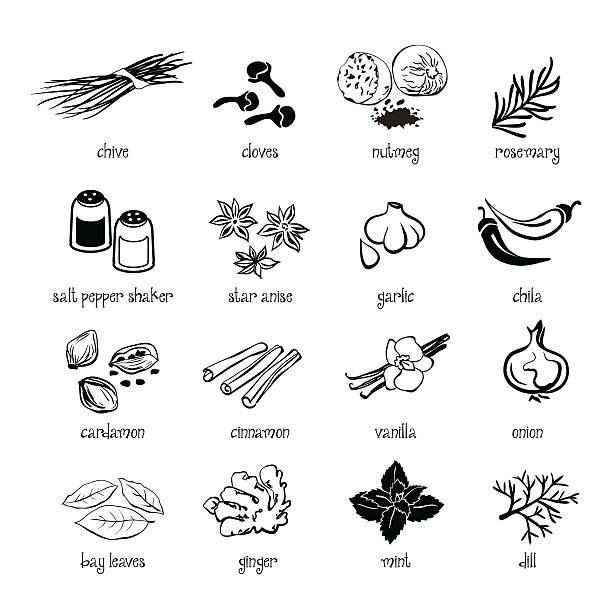 stockillustraties, clipart, cartoons en iconen met set of web icon set - spices, condiments and herbs - bieslook illustraties