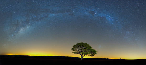 istock The Milkyway at Ezemvelo 487096842