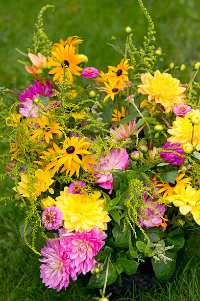 istock garden bouquet annuals 487097048