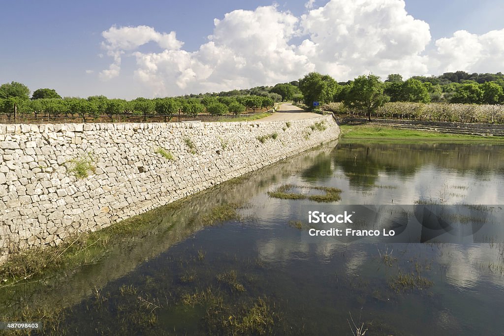 Paisaje agrícola con estanque y pared de piedra. - Foto de stock de Estanque libre de derechos