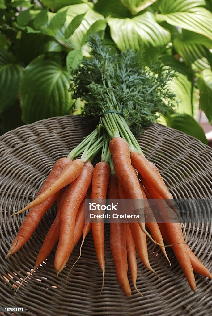 Mucchio di carote - Foto stock royalty-free di Agricoltura biologica