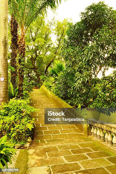 Rizal Park Miasto Manila Filipiny - zdjęcia stockowe i więcej obrazów Brzask - Brzask, Czynność, Dorosły
