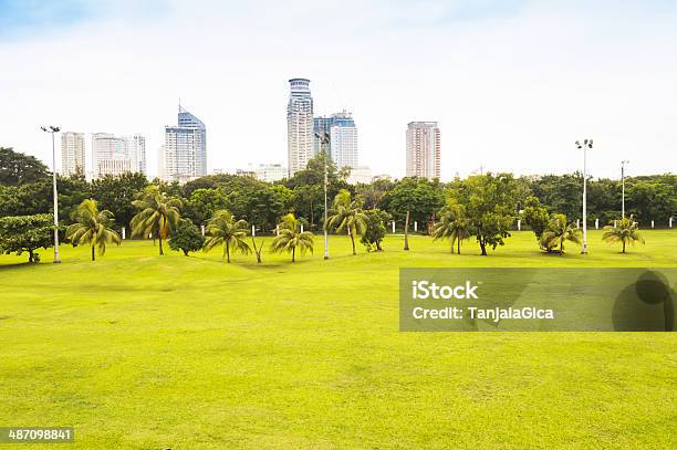 Rizal Park 시티 마닐라 필리핀 Greater Manila Area에 대한 스톡 사진 및 기타 이미지 - Greater Manila Area, 걷기, 나무