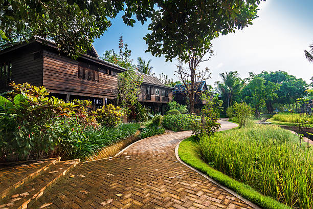 istock Green rice field in the villa,Thailand 487098945