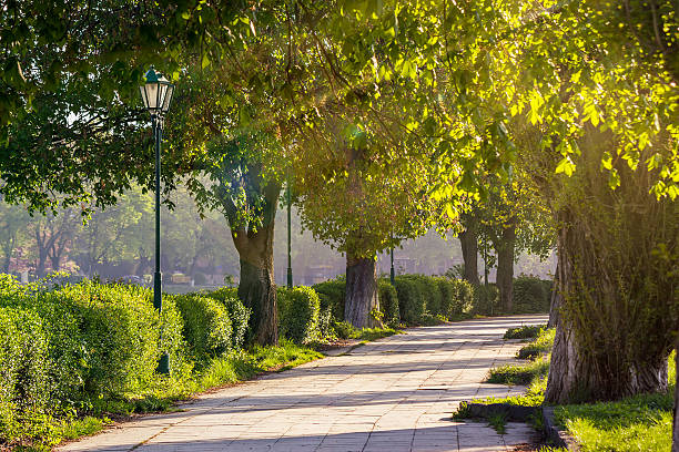 istock old city park with lantern 487099979