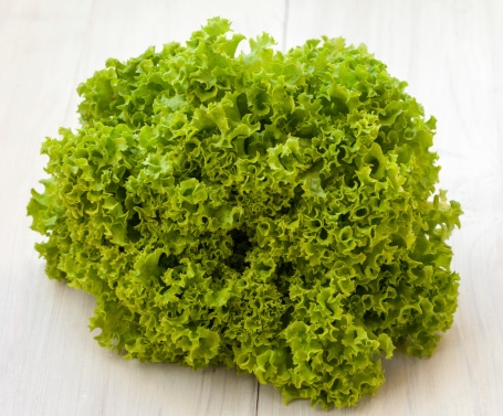Fresh organic lettuce, excellent salad ingredient