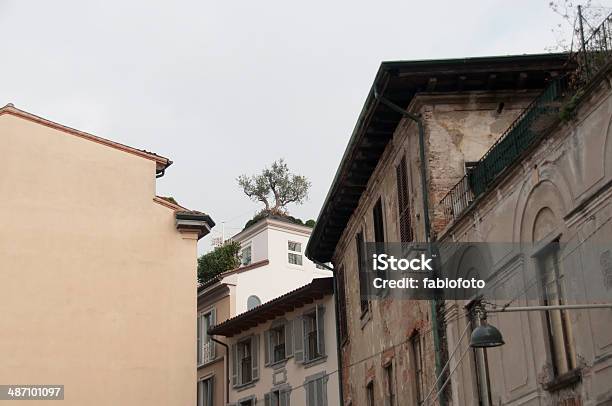 Vista De Milão - Fotografias de stock e mais imagens de Cidade - Cidade, Flora, Fotografia - Imagem