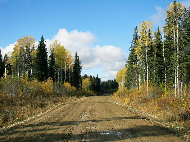Country Road in British Columbia An undeveloped country road in Prince George, British Columbia, Canada. prince george photos stock pictures, royalty-free photos & images