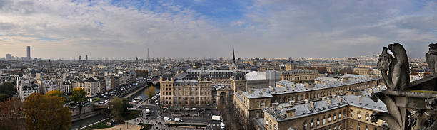 istock Panoramic view of Paris from Notre Dame 487103319