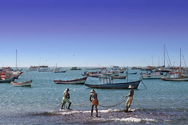 buzios-escultura de los pescadores - sunny day sunlight seagull fotografías e imágenes de stock