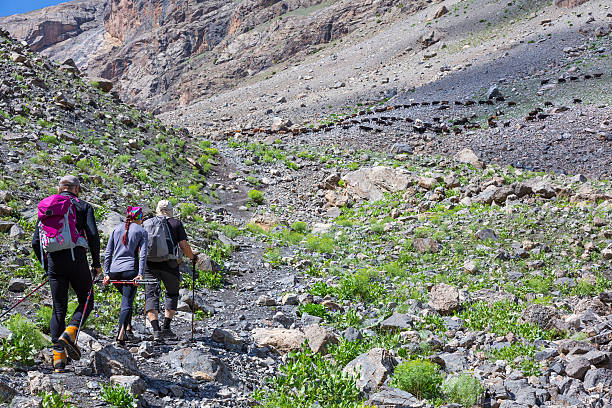 istock Group of Hikers Walking on Trail Backs 487109094