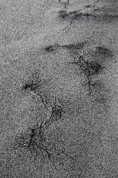 istock Dark urban asphalt road with cracks 487112810