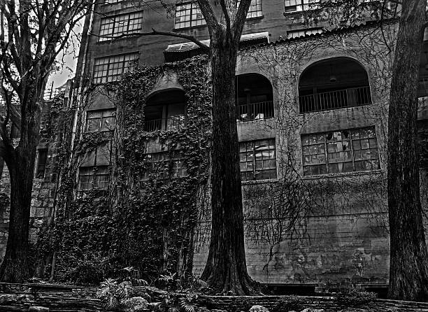 istock Old Building in Black and White, San Antonio, Tx 487113982