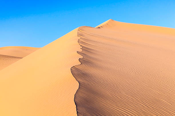 istock sand dune in sunrise in the desert 487117358