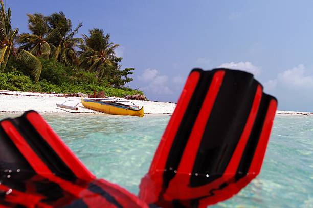 istock scuba flippers on the beach 487118592