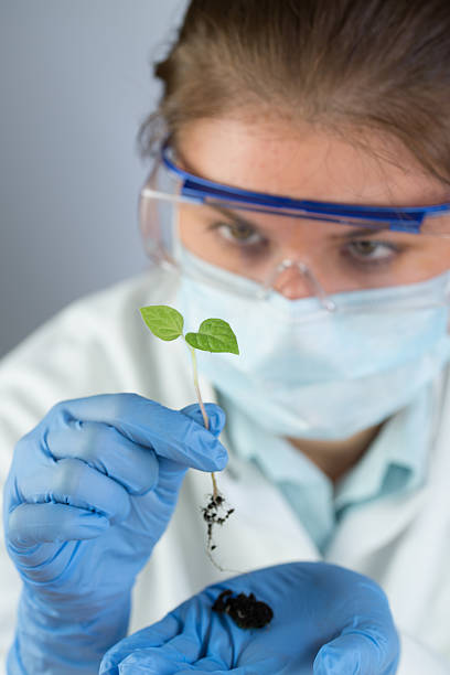 istock scientist and green plant 487120976