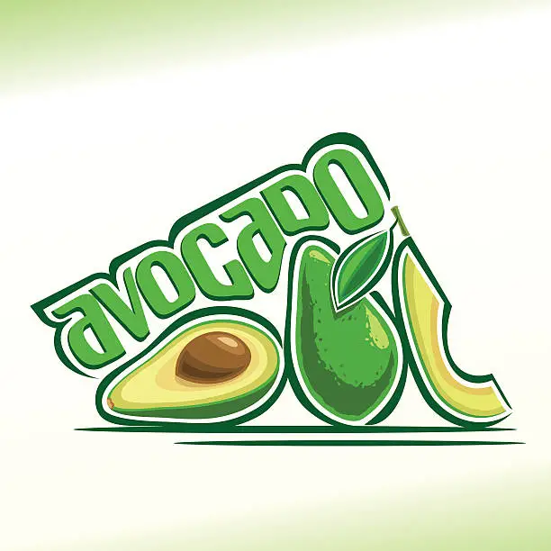 Vector illustration of Vector illustration on the theme of  avocado