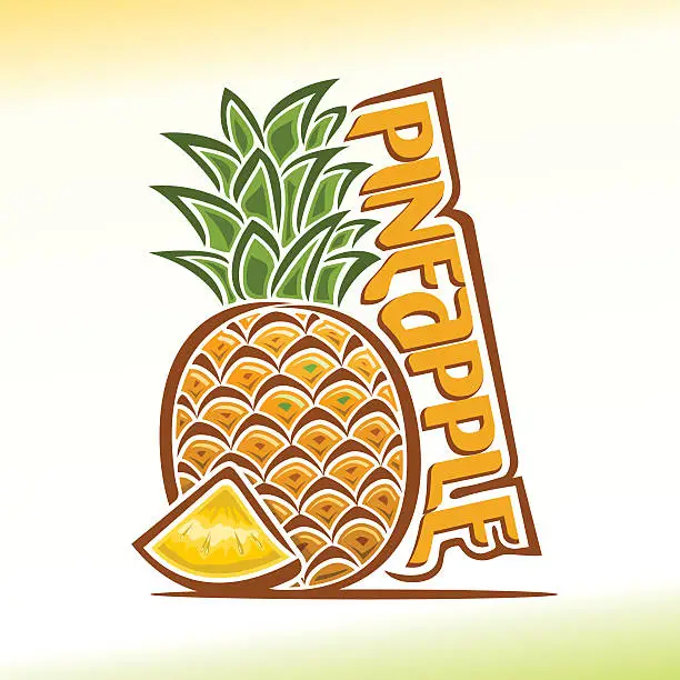 Vector illustration of Vector illustration on the theme of  pineapple