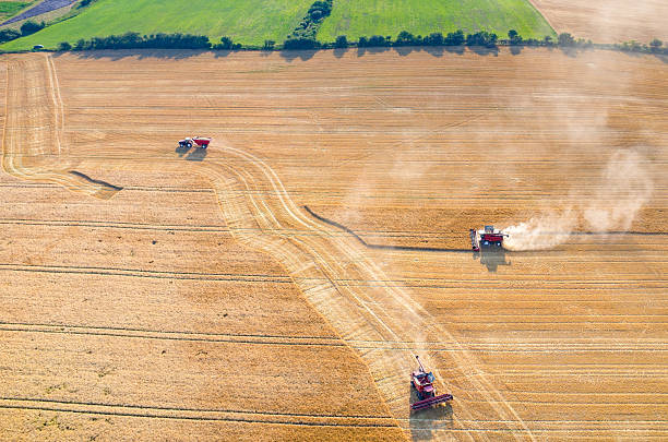 istock Combines and tractors working on the wheat field 487124606