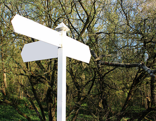 istock Copyspace blank signpost blanked out for text or messages 487125443