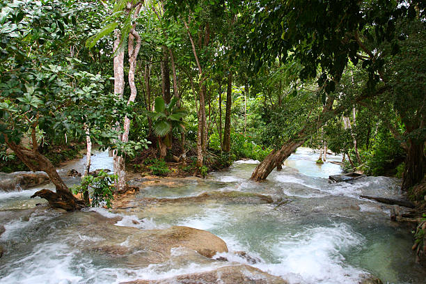 Ocho Rios, Jamaica Ocho Ríos is a town on the northern coast of Jamaica, located in the parish of Saint Ann. It is a popular tourist destination, well known for scuba diving and other water sports dunns river falls stock pictures, royalty-free photos & images
