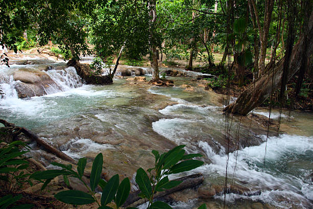 Ocho Rios, Jamaica Ocho Ríos is a town on the northern coast of Jamaica, located in the parish of Saint Ann. It is a popular tourist destination, well known for scuba diving and other water sports dunns river falls stock pictures, royalty-free photos & images