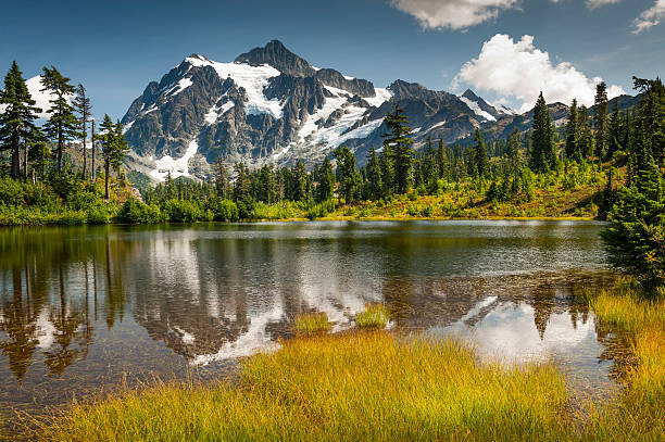 Picture Lake, Mt. Baker-Snoqualmie National Forest. Picture Lake is the centerpiece of a strikingly beautiful landscape in the Heather Meadows area of Mt. Baker, Washington, USA. mt shuksan stock pictures, royalty-free photos & images