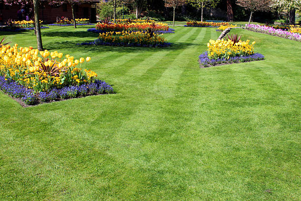 istock Image of park with colourful spring flowers and tulip bulbs 487126143